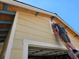 Best Siding Painting and Refinishing  in Winner, SD